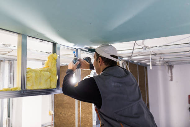 Best Fiberglass Insulation in Rothschild, WI