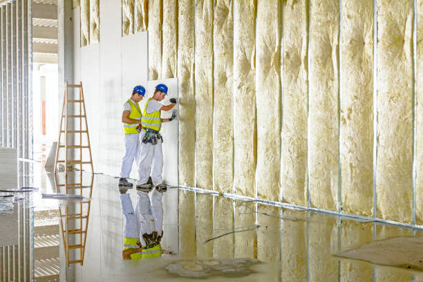Best Cellulose Insulation in Rothschild, WI